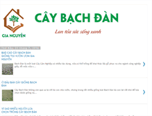 Tablet Screenshot of caybachdan.com